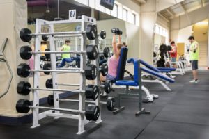 Freeweight Benches